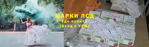 спиды Нефтекумск
