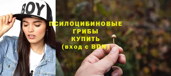 спиды Нефтекумск