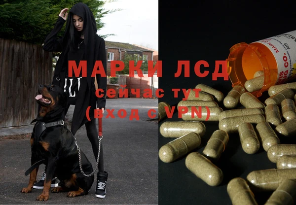 спиды Нефтекумск