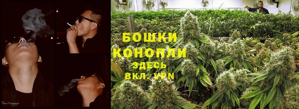 ПСИЛОЦИБИНОВЫЕ ГРИБЫ Нея