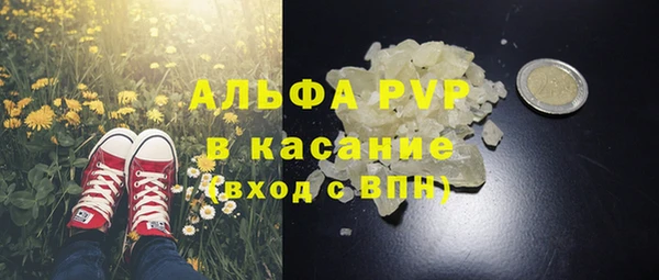ПСИЛОЦИБИНОВЫЕ ГРИБЫ Нея