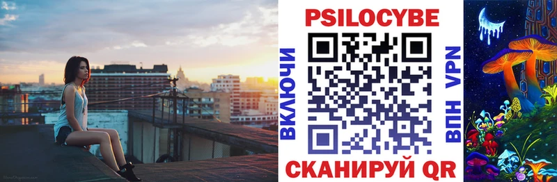 закладки  Ряжск  гидра ссылки  Псилоцибиновые грибы Psilocybe 