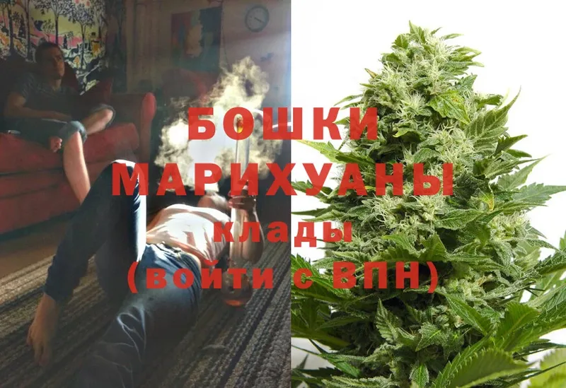 купить  цена  Ряжск  МАРИХУАНА SATIVA & INDICA 